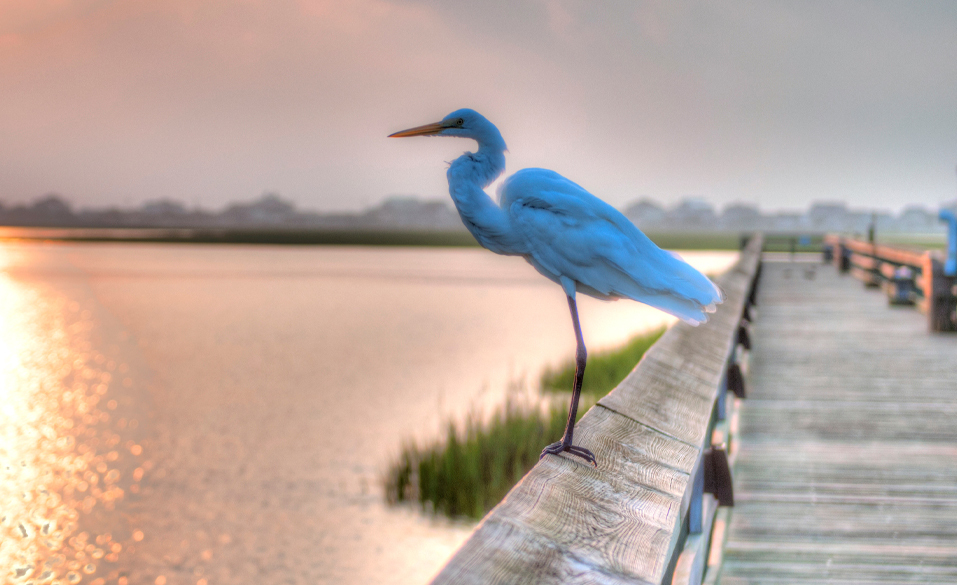 Communities - Edgewater